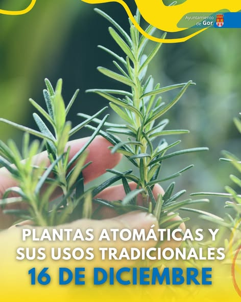 aromaticas